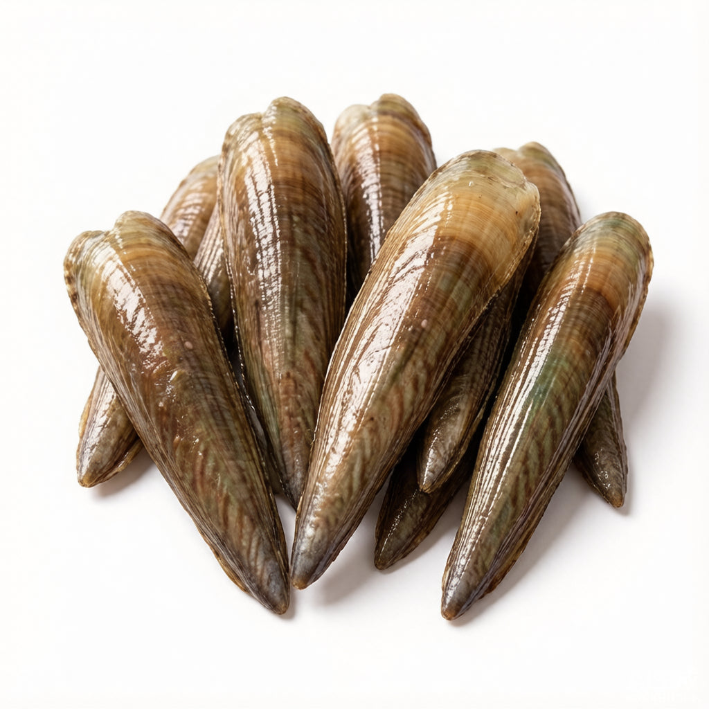 RAZOR CLAM